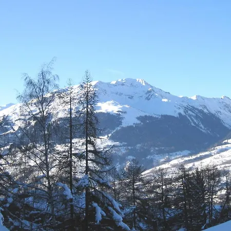 Confortable Pour 3 Avec Balcon Et Animaux Acceptes A - Fr-1-353-9 * La Plagne