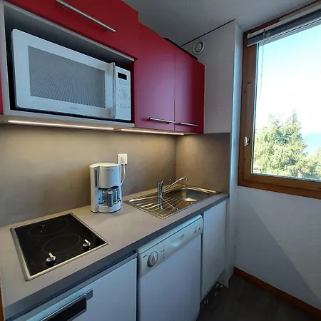Confortable Pour 3 Avec Balcon Et Animaux Acceptes A - Fr-1-353-9 La Plagne