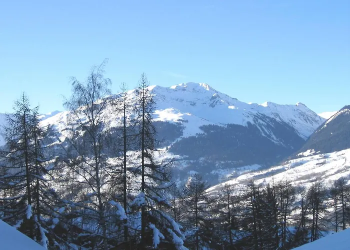 22m² 3 Pers, Animaux Admis, Ski-in/ski-out - Fr-1-353-9 * La Plagne