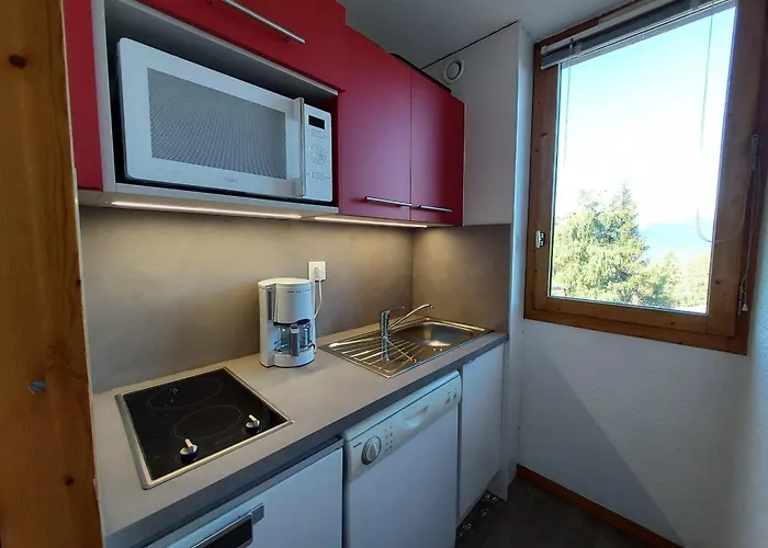 22m² 3 Pers, Animaux Admis, Ski-in/ski-out - Fr-1-353-9 Apartment La Plagne